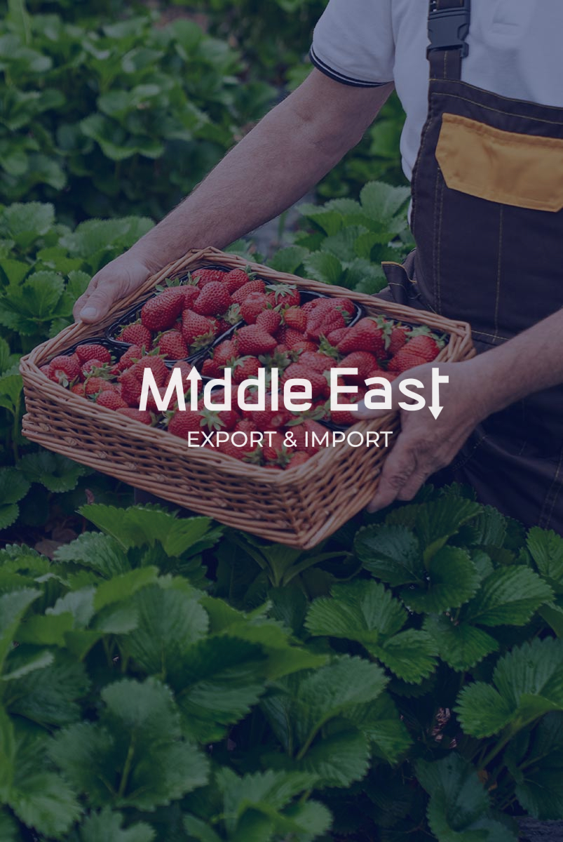Middle%20East